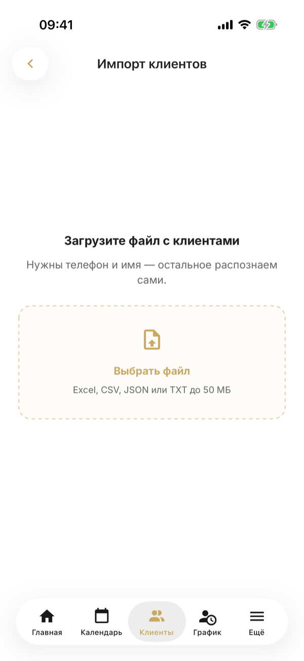 La pantalla Importar clientes: sube un archivo con clientes mediante Elegir archivo — Excel, CSV, JSON o TXT de hasta 50 MB